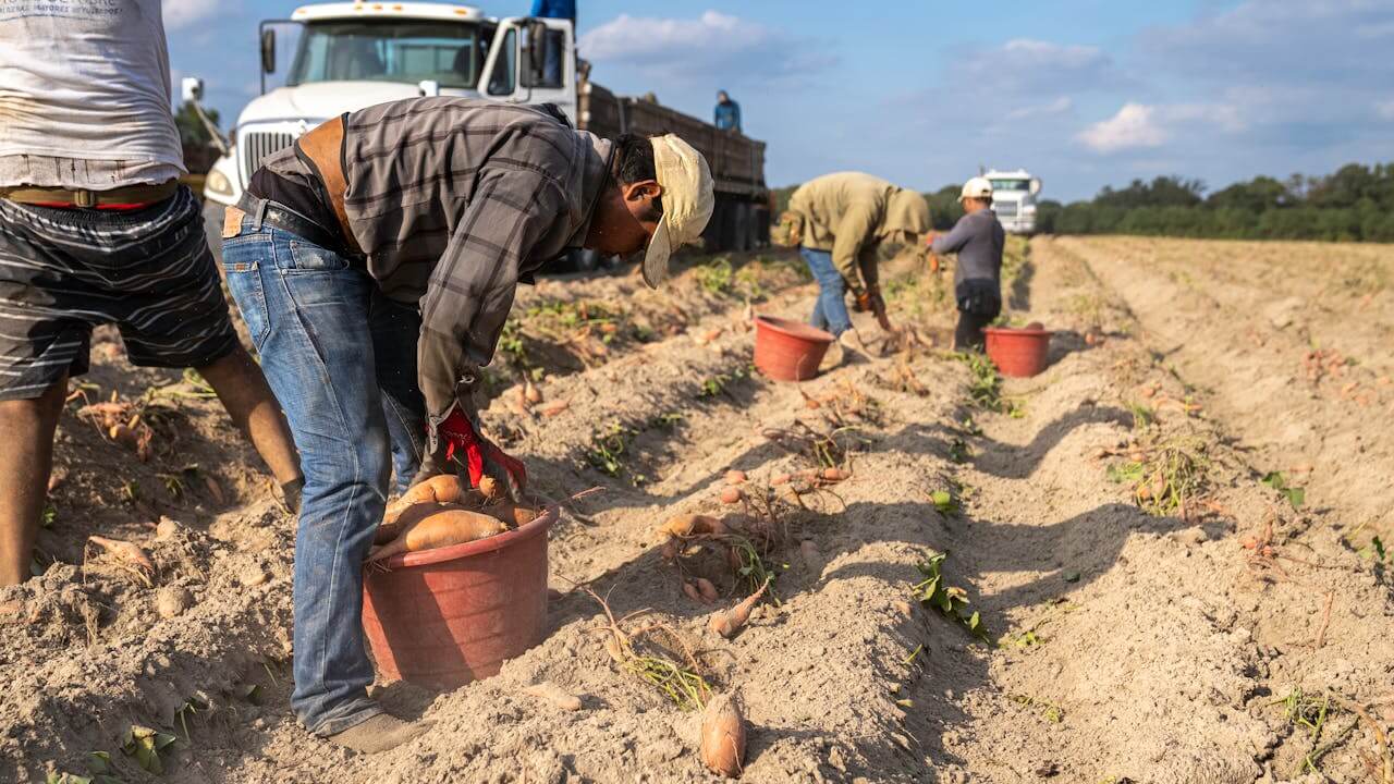 H 2A: Agricultural Workers visas