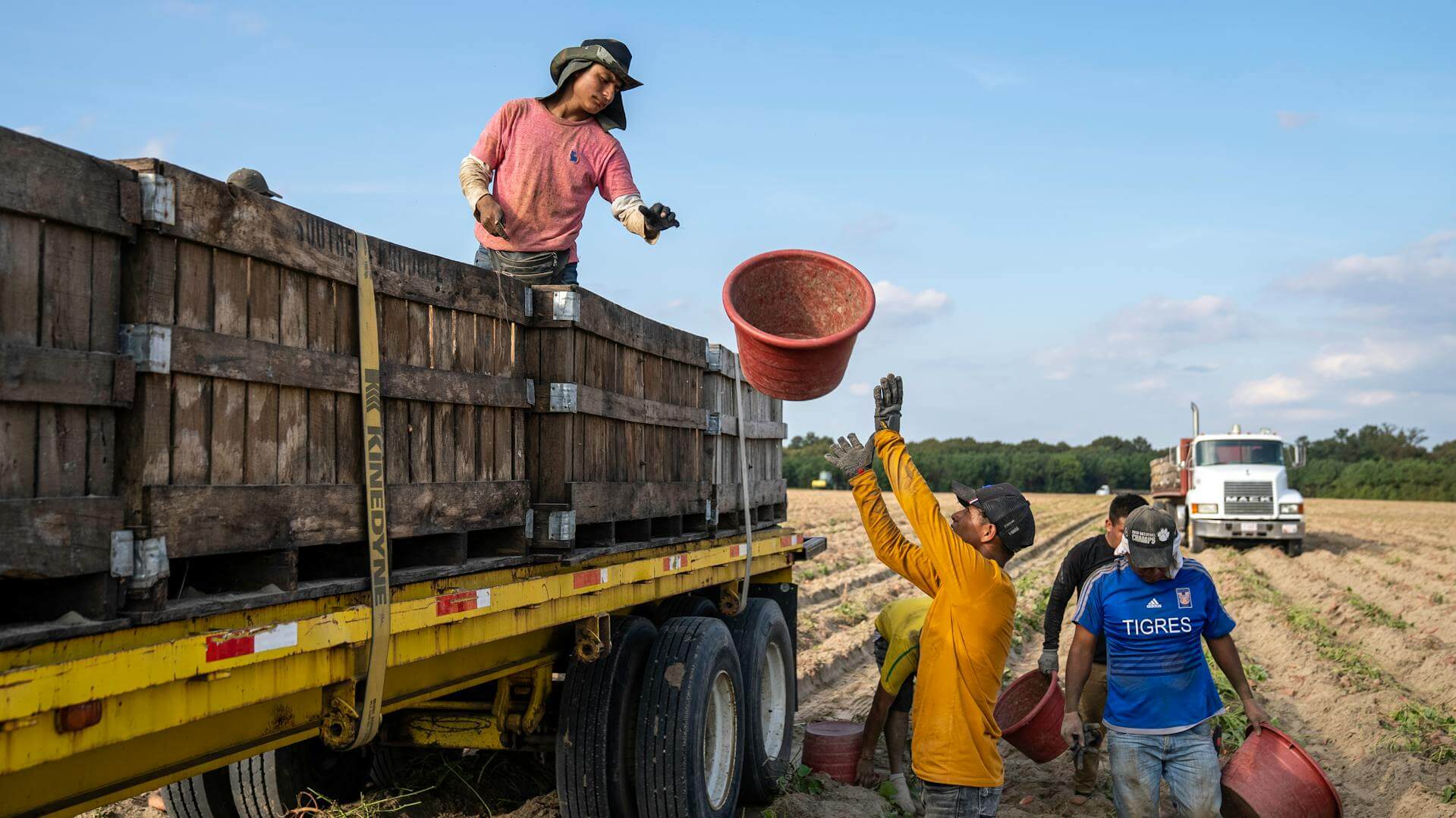H 2A Visas for Agricultural Workers